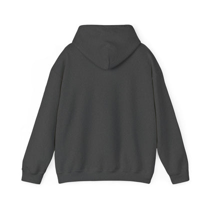 Brave Lion Hooded Sweatshirt