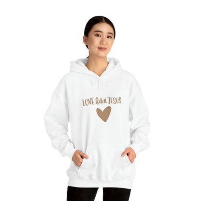 Love Like Jesus Hoodie - Friends of the Faith