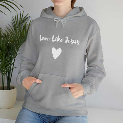 Love Like Jesus Hoodie - Friends of the Faith