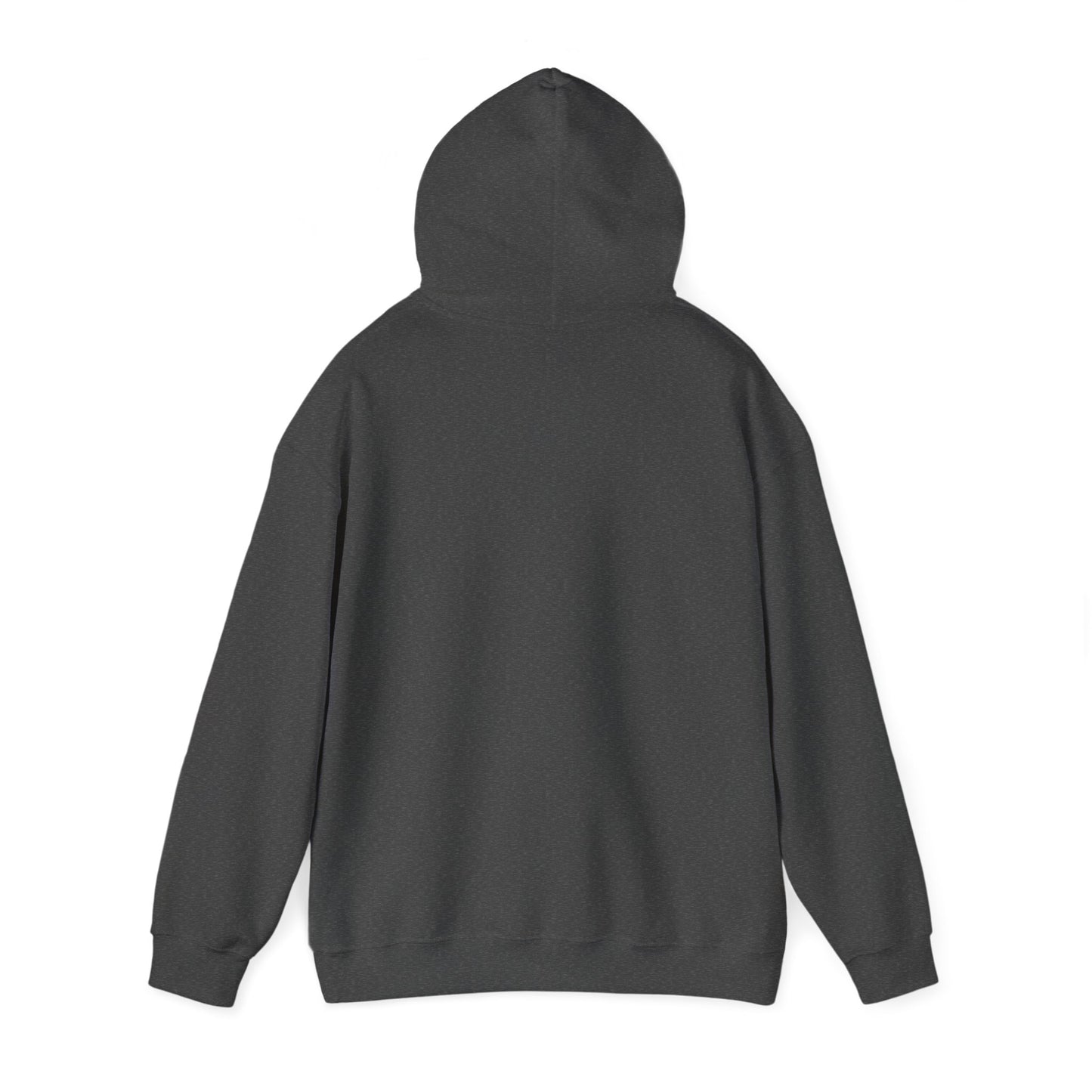 Brave Lion Hooded Sweatshirt