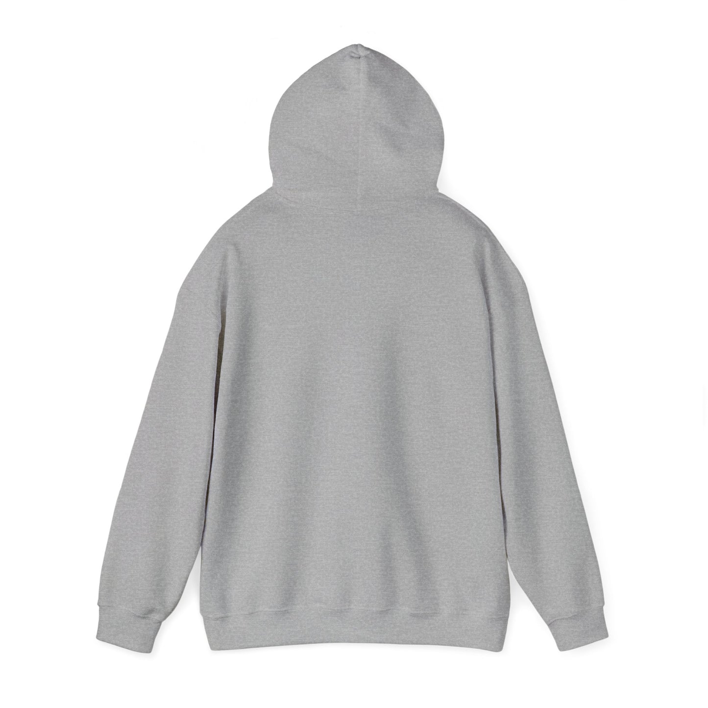 Brave Lion Hooded Sweatshirt